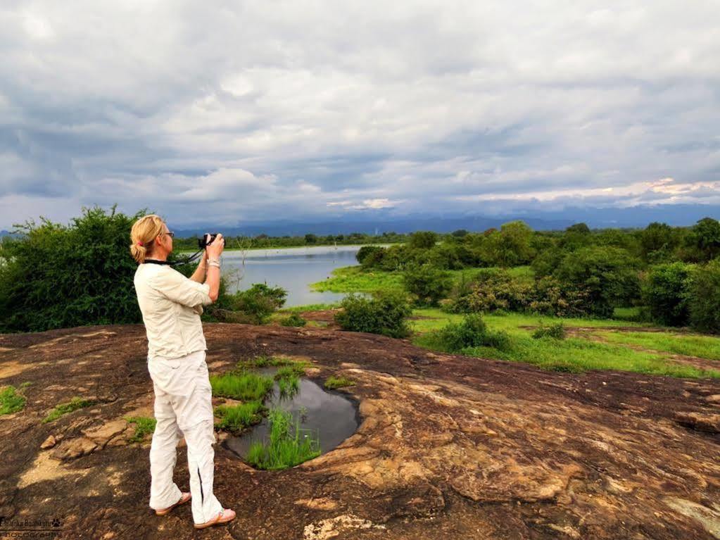 Mahoora Tented Safari Camp อุดาวาลาเว ภายนอก รูปภาพ