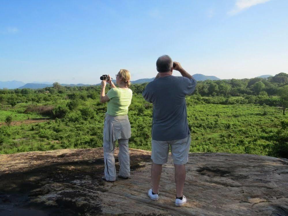 Mahoora Tented Safari Camp อุดาวาลาเว ภายนอก รูปภาพ