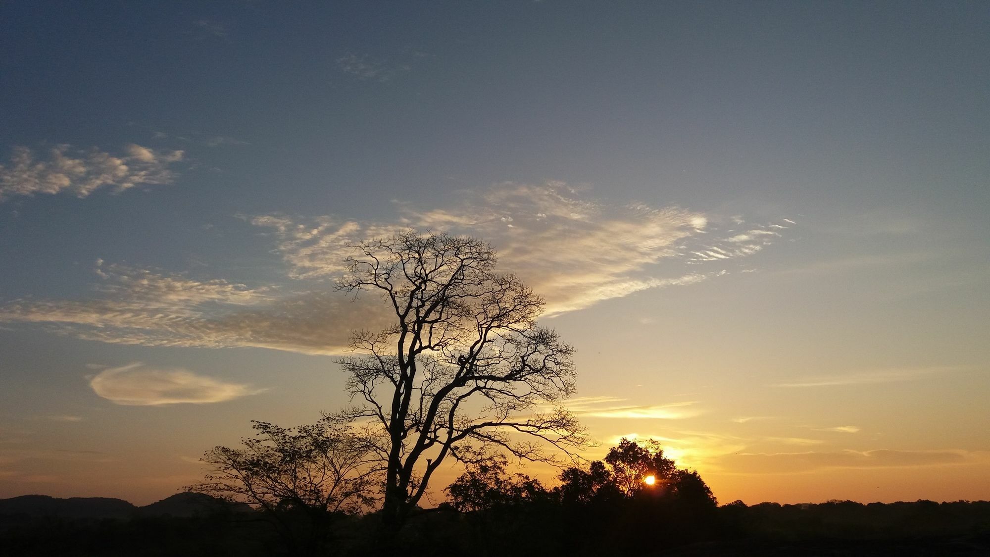 Mahoora Tented Safari Camp อุดาวาลาเว ภายนอก รูปภาพ