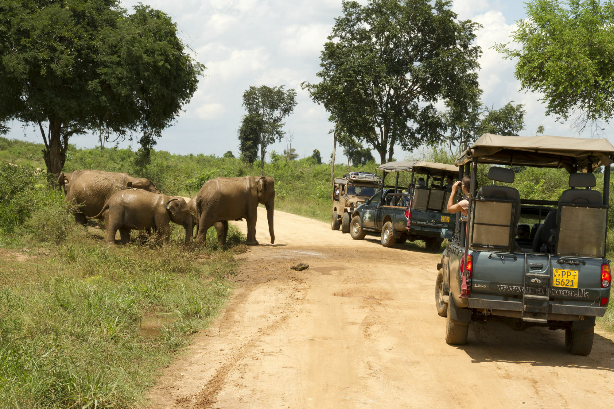 Mahoora Tented Safari Camp อุดาวาลาเว ภายนอก รูปภาพ