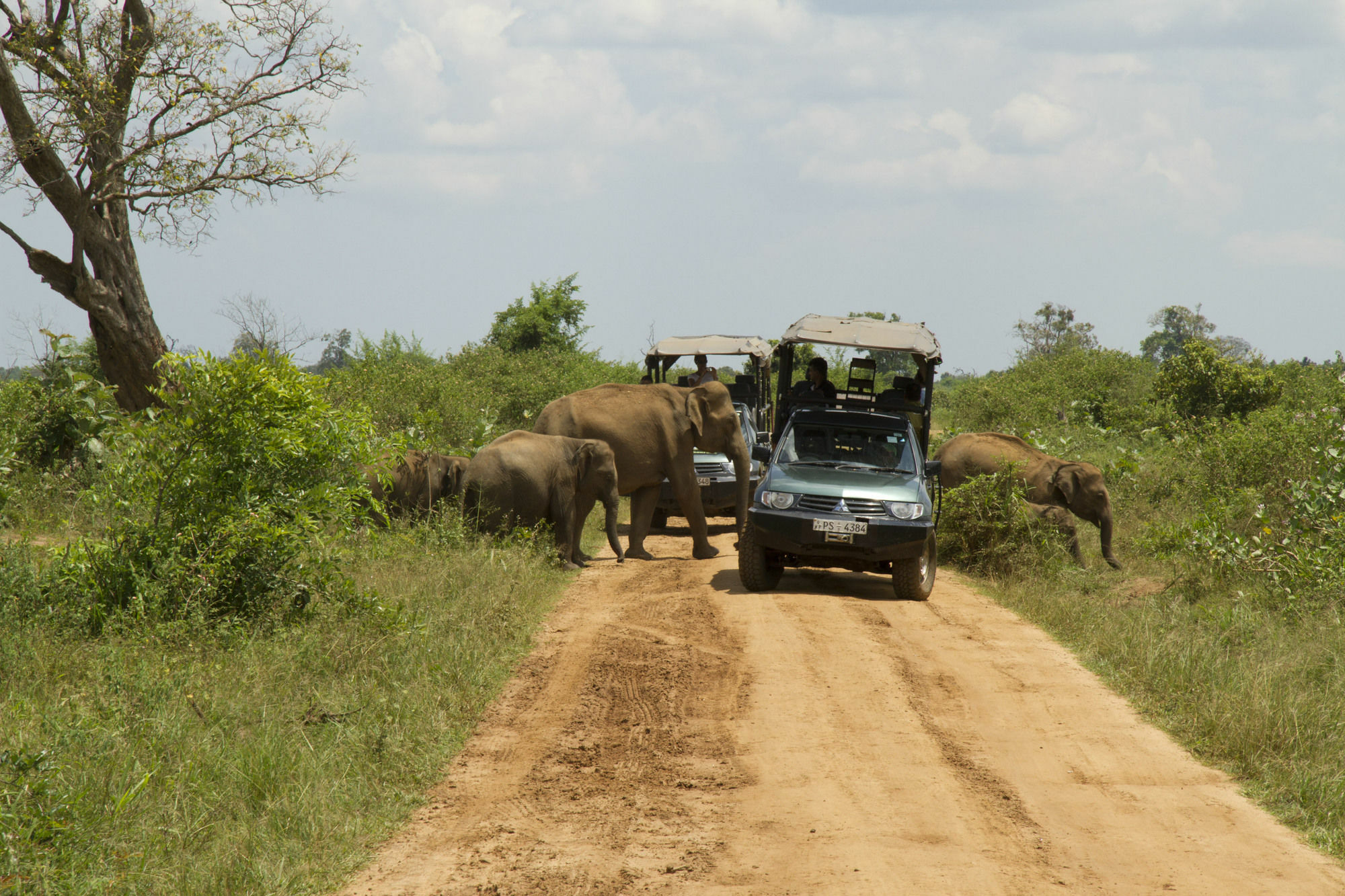 Mahoora Tented Safari Camp อุดาวาลาเว ภายนอก รูปภาพ