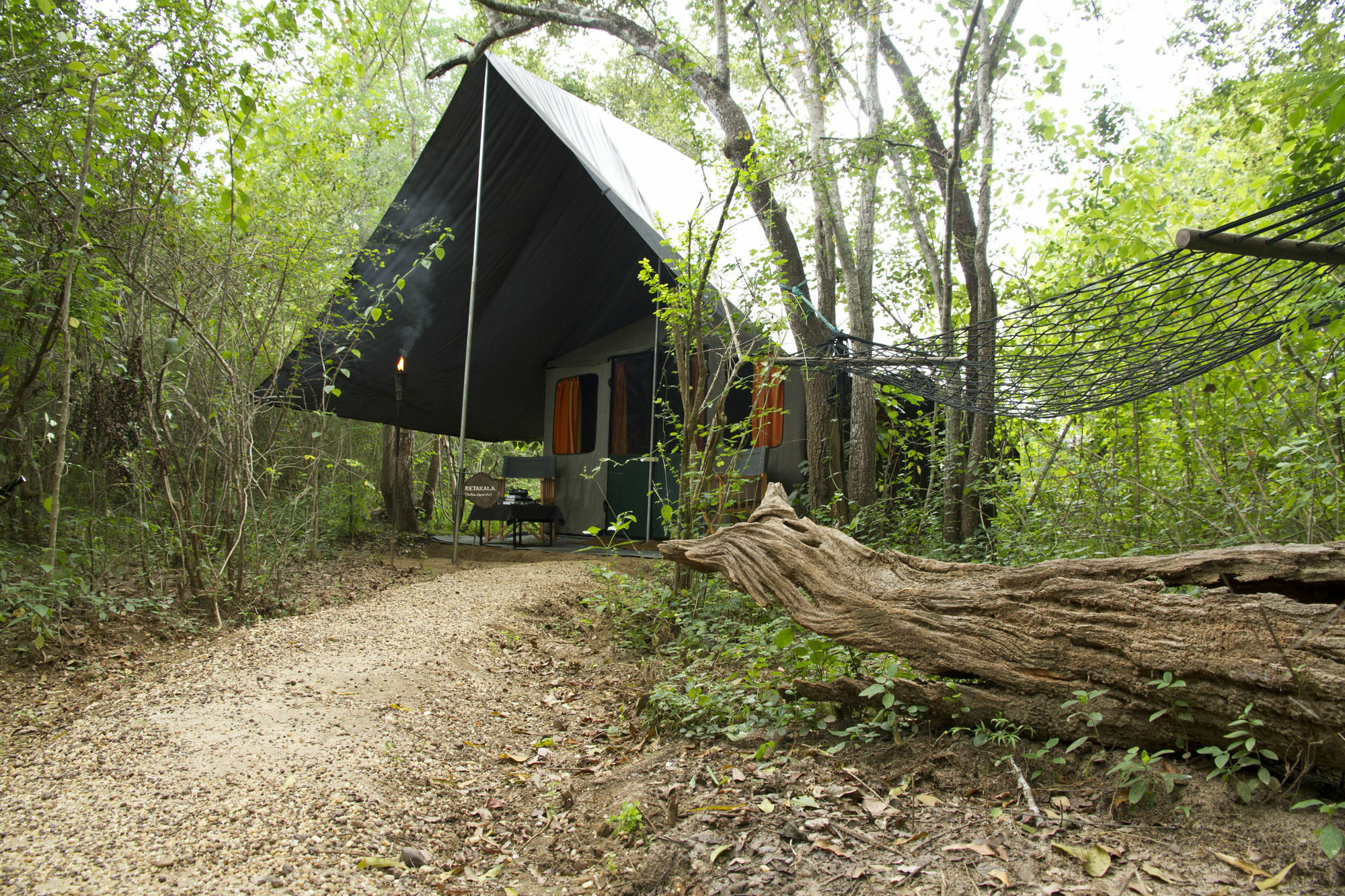 Mahoora Tented Safari Camp อุดาวาลาเว ภายนอก รูปภาพ