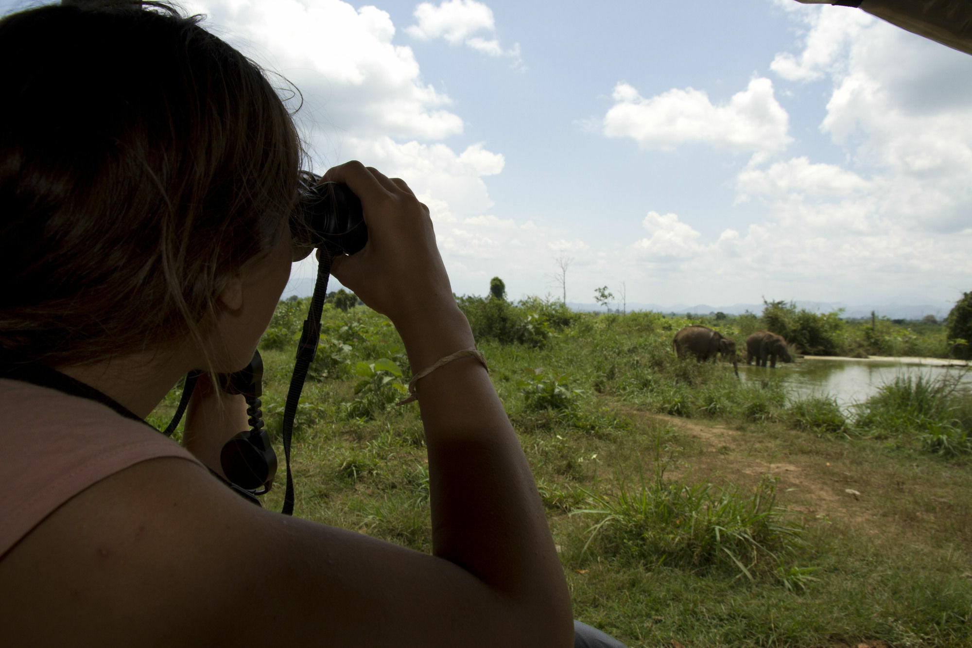 Mahoora Tented Safari Camp อุดาวาลาเว ภายนอก รูปภาพ