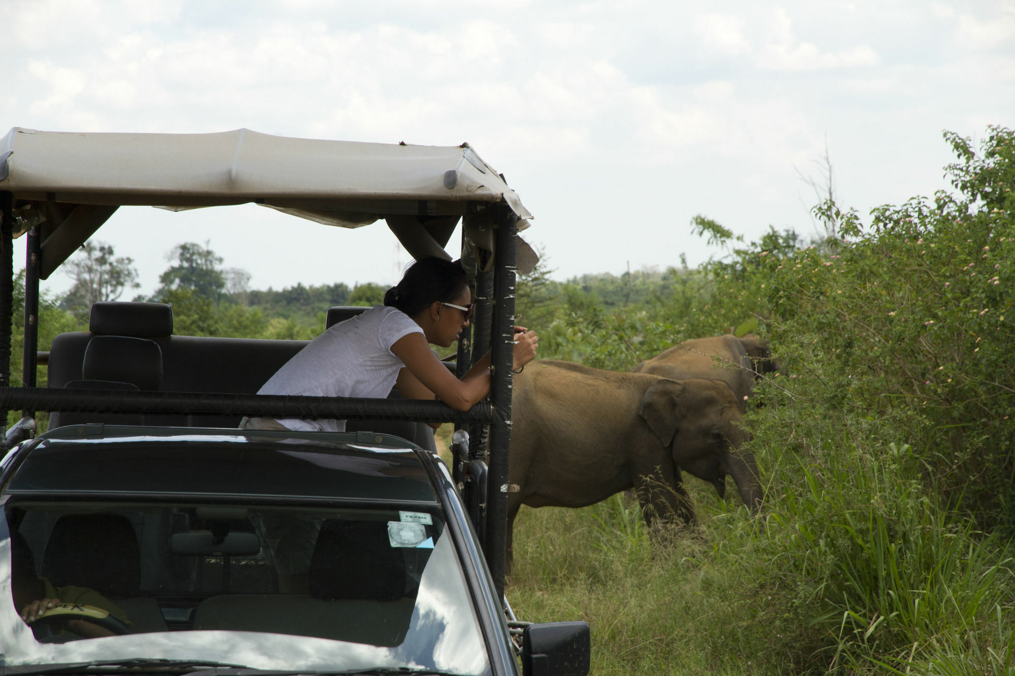 Mahoora Tented Safari Camp อุดาวาลาเว ภายนอก รูปภาพ