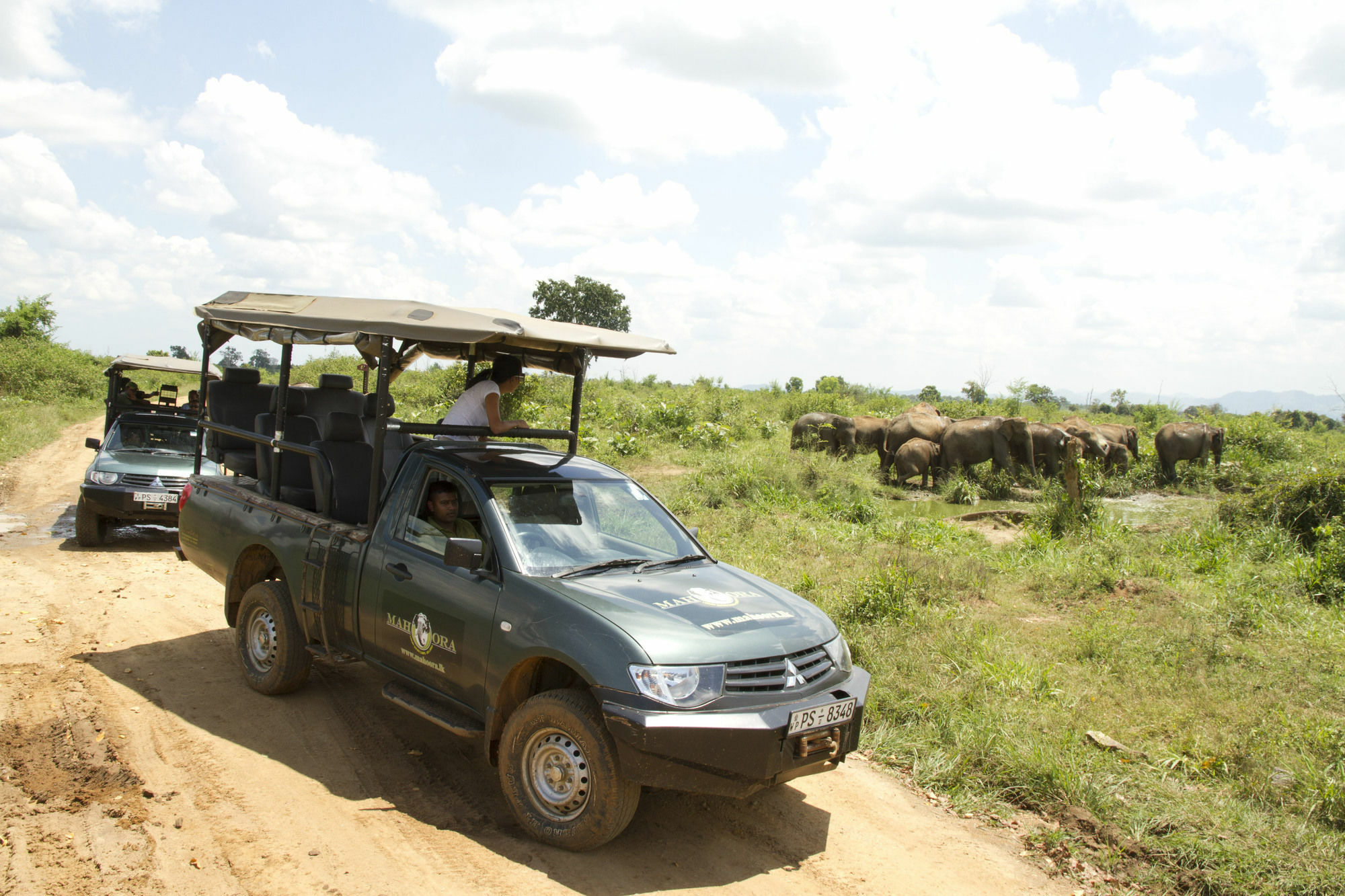 Mahoora Tented Safari Camp อุดาวาลาเว ภายนอก รูปภาพ